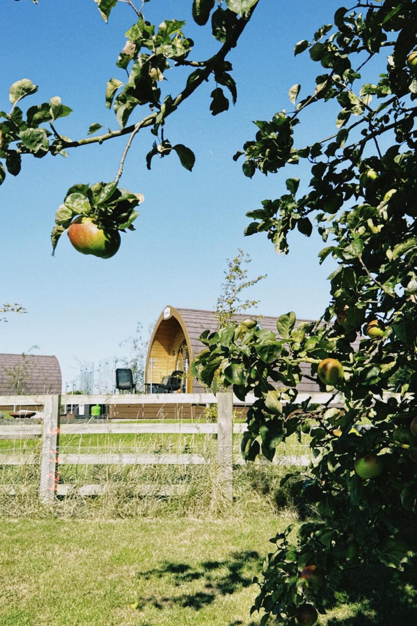 Villa Mingle Dale- Bugthorpe Grange Glamping Stamford Bridge Esterno foto